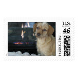 Buffy postage