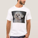 Buffy  t-shirts