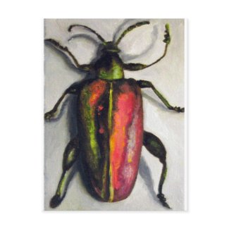 Bug post card