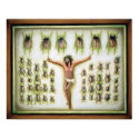 bug collection posters