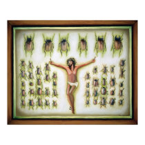 bug collection posters