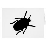 Bug Greeting Card