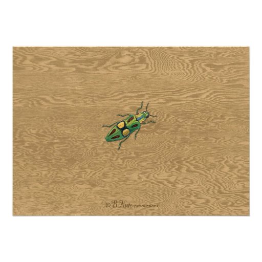 Bug Hunt Insect Party Invitation