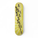 bug-ing-ants skate board decks