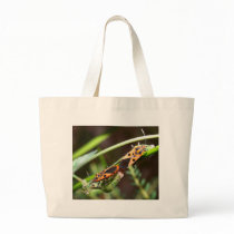 bug insect   in  the  nature bags