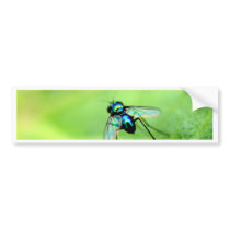 bug insect   in  the  nature bumper stickers