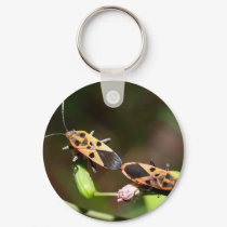 bug insect   in  the  nature keychains