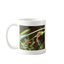 bug insect   in  the  nature mugs