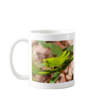 bug insect   in  the  nature mugs