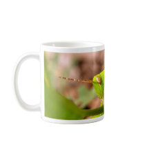 bug insect   in  the  nature mugs