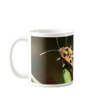 bug insect   in  the  nature mugs