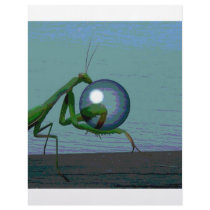 Bug Letterhead Template