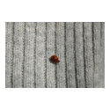 Bug Life posters by marrie Bug Life posters