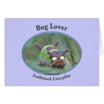 Bug Lover Saddleback Caterpillar Cards