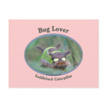 Bug Lover Saddleback Caterpillar Postcards