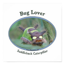 Bug Lover Saddleback Caterpillar Posters
