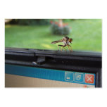 Bug on System ~ ATC business cards