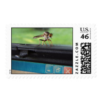 Bug on System ~ stamp