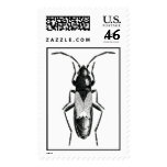 Bug Stamps