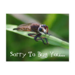 Bug Postcard