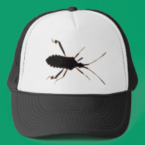 Bug Silhouette ~ hat hats