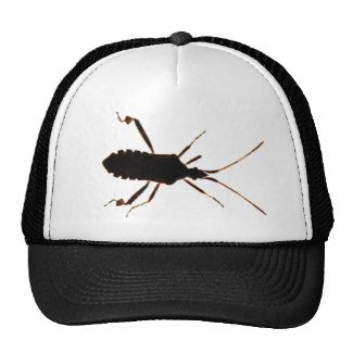 Bug Silhouette ~ hat
