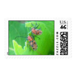 Bug Stamp