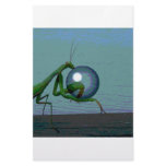 Bug stationery