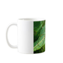 Bug Ugly 2 (Spider 8792) mugs