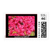 Buganvilias-Postage. postage