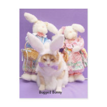 Bugged Bunny postcards by myrtieshuman Bugged Bunny postcards