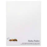 Buggin' You Again · Brown Ant letterhead