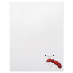 Buggin' You Again · Red Ant letterhead