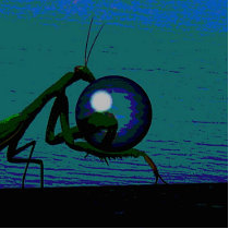 Buggy ball Carrier photo sculptures