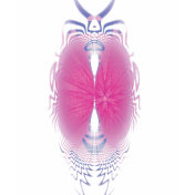 buggy sweetheart tee shirts