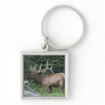 Bugling elk in Banff National Park, Canada. Key Chain