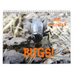 BUGS! 2012 Calendar
