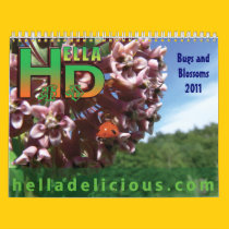Bugs and Blossoms 2011 Calendar calendars