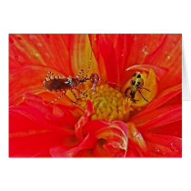 Bugs at Work cards