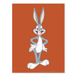 Bugs Bunny Standing Post Cards
