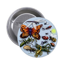 Bugs buttons
