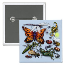 Bugs buttons