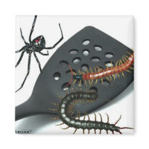 Bugs magnets