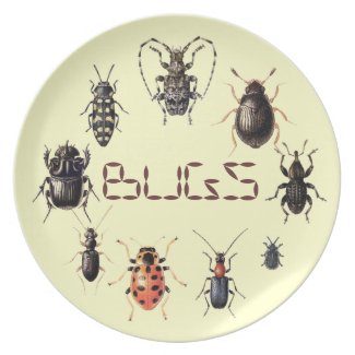 Bugs Plate for Insect fans