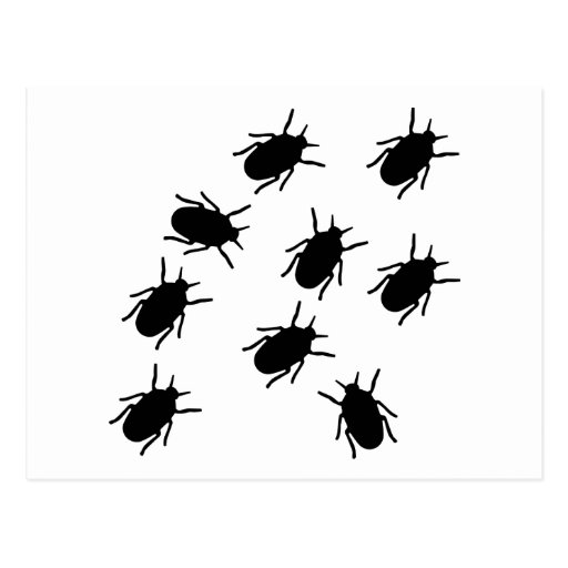 Bugs Postcards