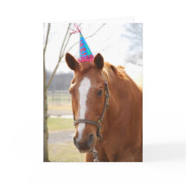 Bugsie Birthday Card