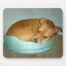 Bugsy mousepads