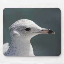 Bugsy Seagull mousepads by ChileMama Bugsy Seagull mousepads