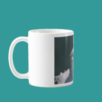 Bugsy Seagull mugs