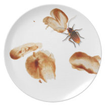 Bugzeez_Icky Sticky Roaches_Dirty Dishes plates